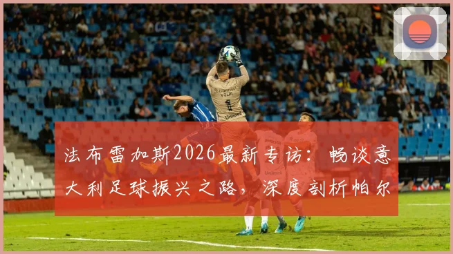 法布雷加斯2026最新专访：畅谈意大利足球振兴之路，深度剖析帕尔马核心帕斯留队可能性