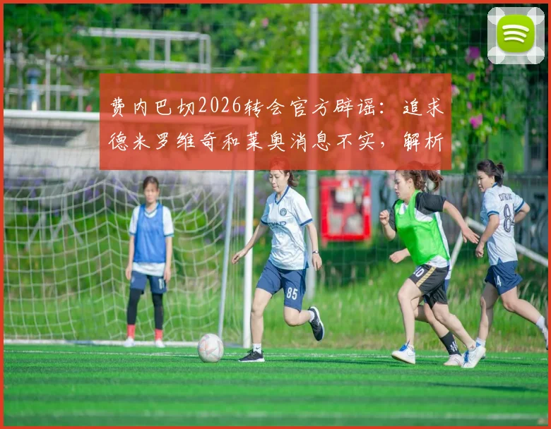 费内巴切2026转会官方辟谣：追求德米罗维奇和莱奥消息不实，解析球队真实引援方向