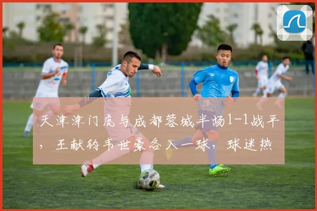 天津津门虎与成都蓉城半场1-1战平，王献钧韦世豪各入一球，球迷热议双方战术得失